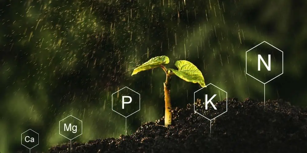 www.growersguidetocannabis.com