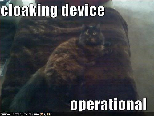 128346966180468750cloakingdevice.jpg