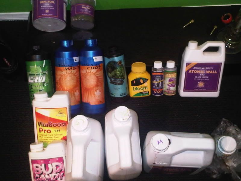 IMG00099-20110118-2201.jpg