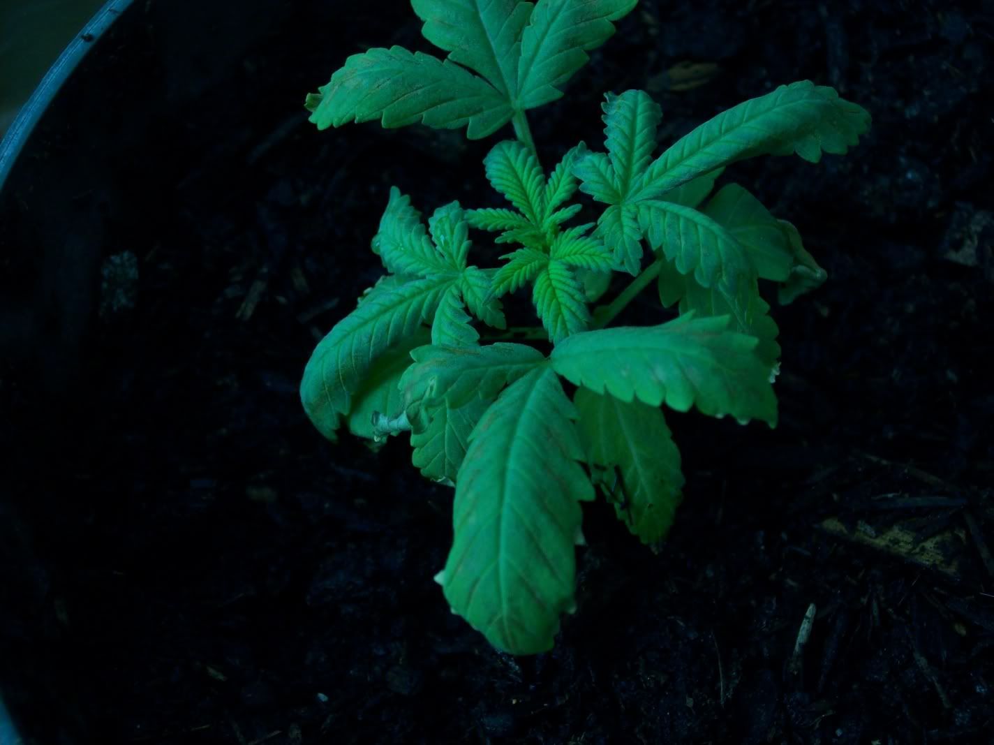 100_0660.jpg