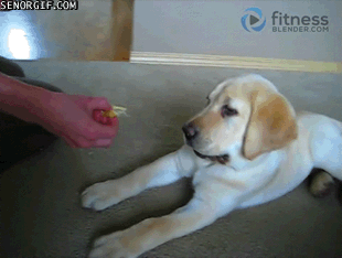 84737113.gif
