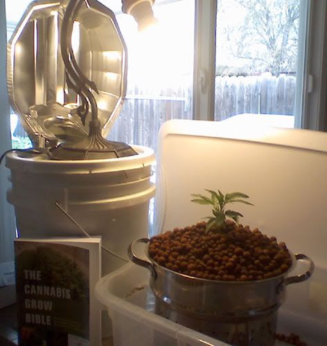grow3-1.jpg