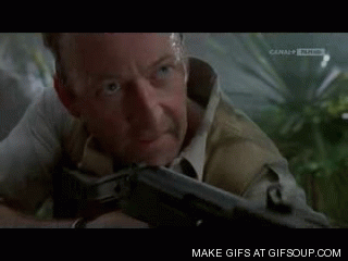 clever-girl.gif