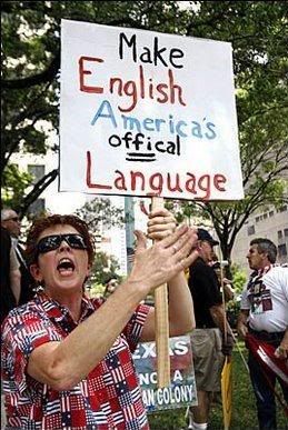 stupid-american.jpg