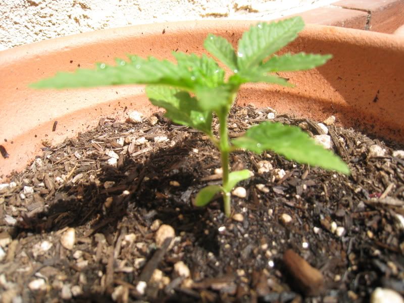 Picture002.jpg