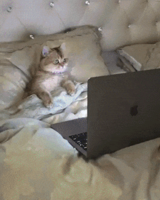 gifs_23.gif