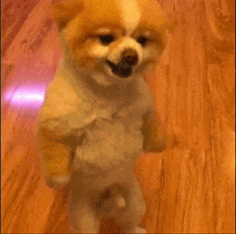 a99a5e32015ace583dcffb56e917233a.gif