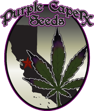 version_01-logoLEAF-e1413315759441.png