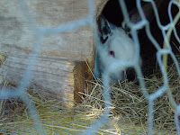 DSC01346.JPG