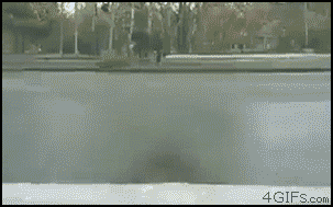 gifs_05.gif