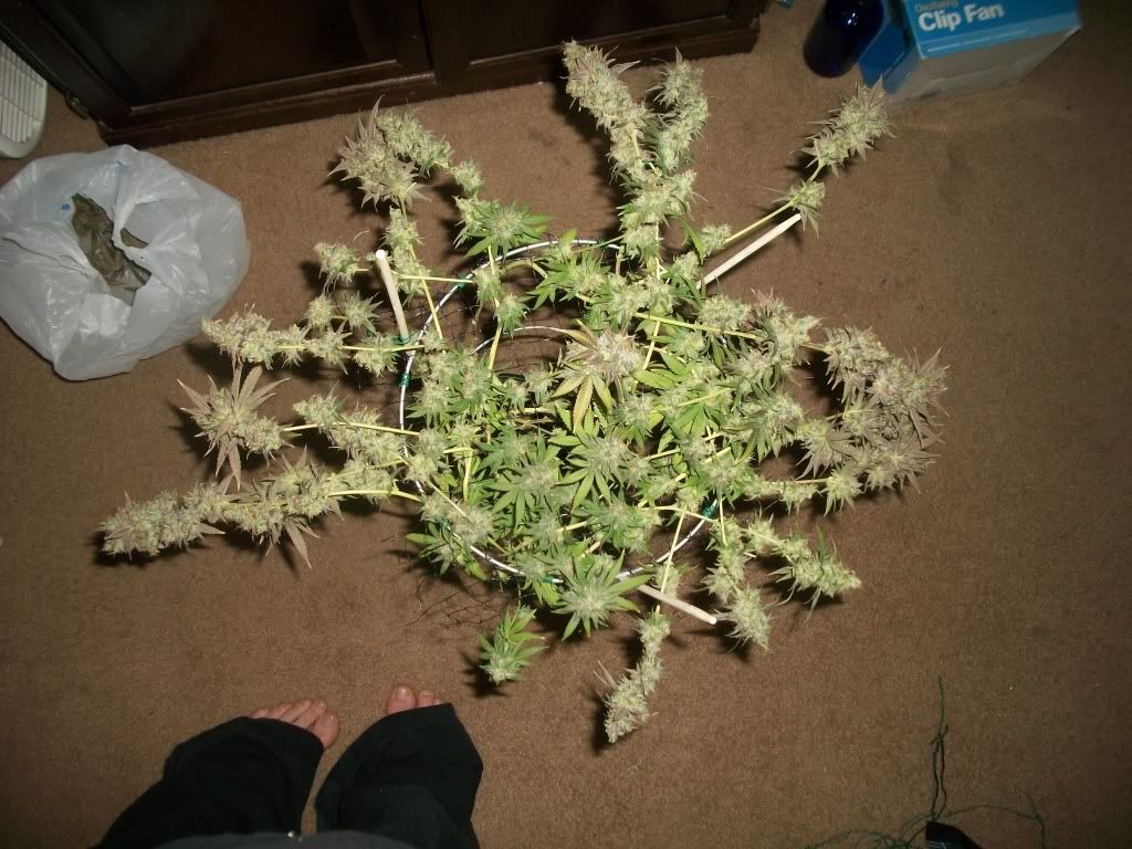 11-21-11034.jpg
