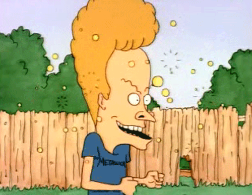 tumblr_m74qm0IQav1ragj15o1_500.gif