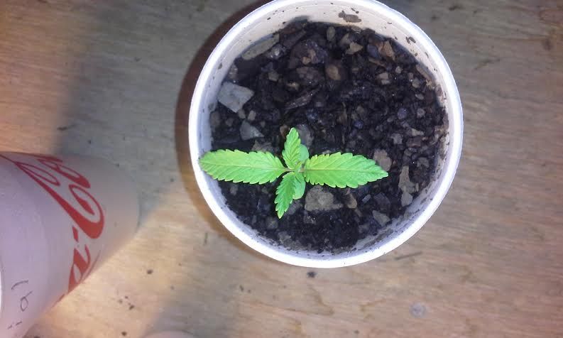 special1_zps7b331ecd.jpg
