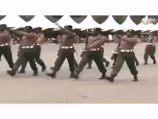 1665590210_21.gif