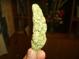 aug17040.jpg