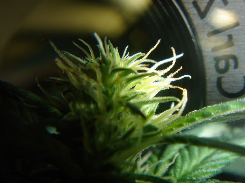 10-7-08002.jpg