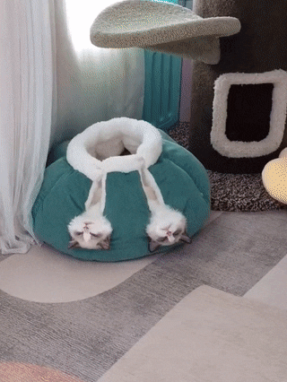 gifs_21.gif