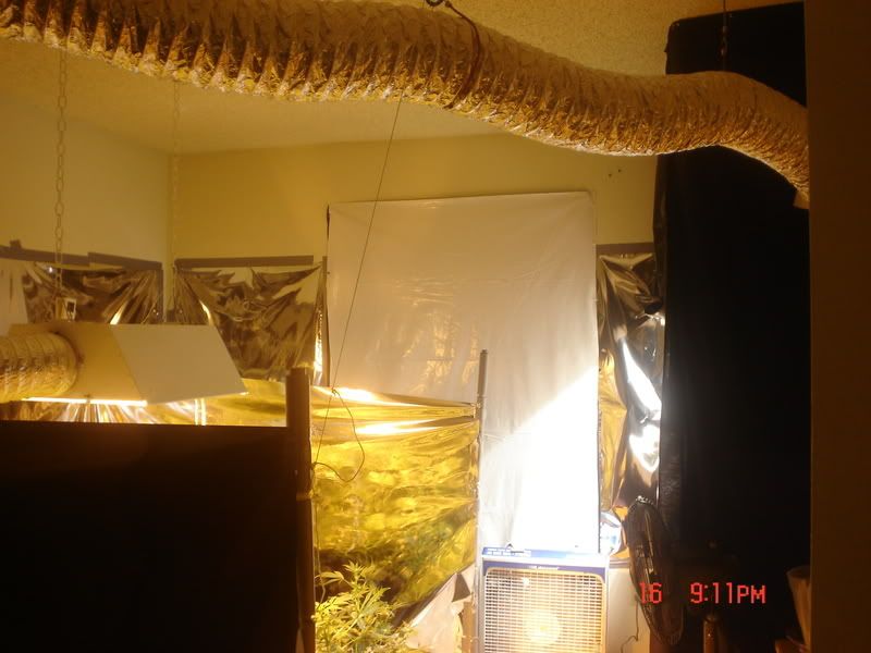 Picture040-6.jpg