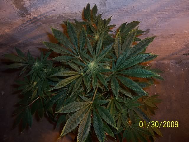 100_1216.jpg