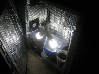 pcgrw002.jpg