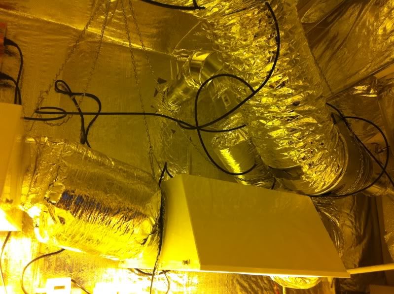 grow028.jpg