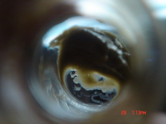 DSC01464.jpg