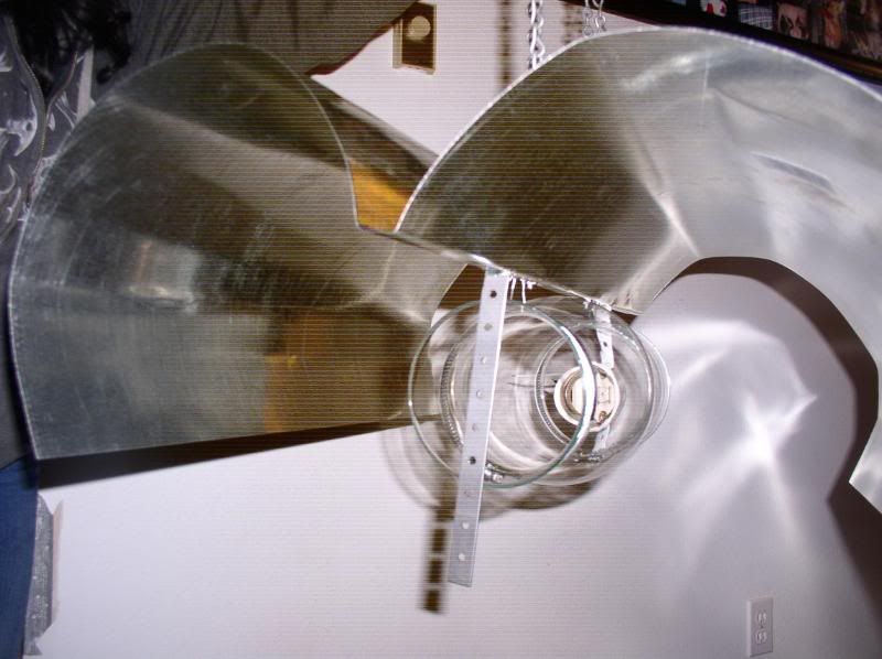 P1010028-3.jpg
