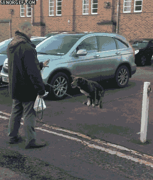 gifs_06.gif