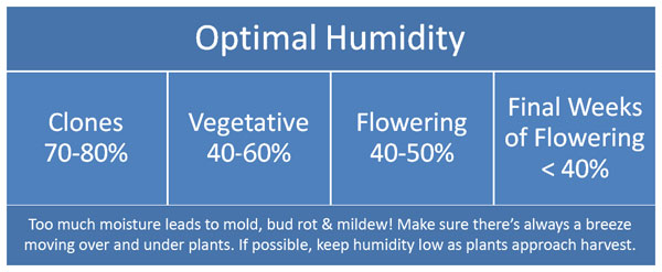 cannabis-humidity-chart.jpg