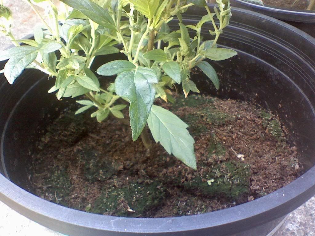 0520081630.jpg