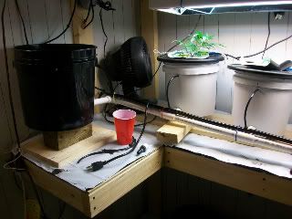 100_1095.jpg