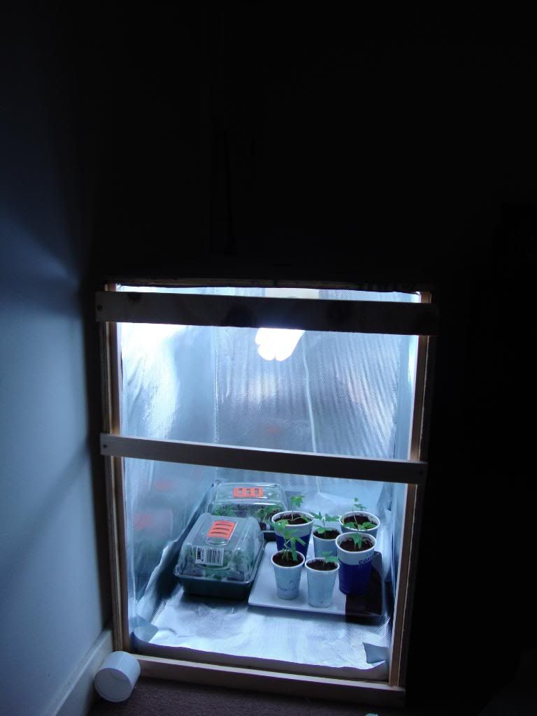 veg001.jpg