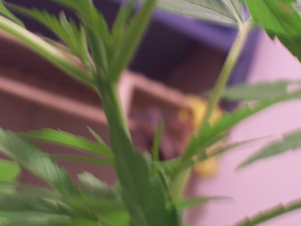 100_1907.jpg