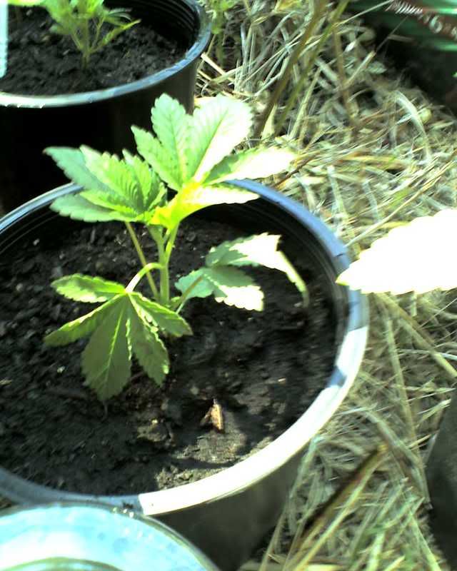 06-11-08_1601.jpg