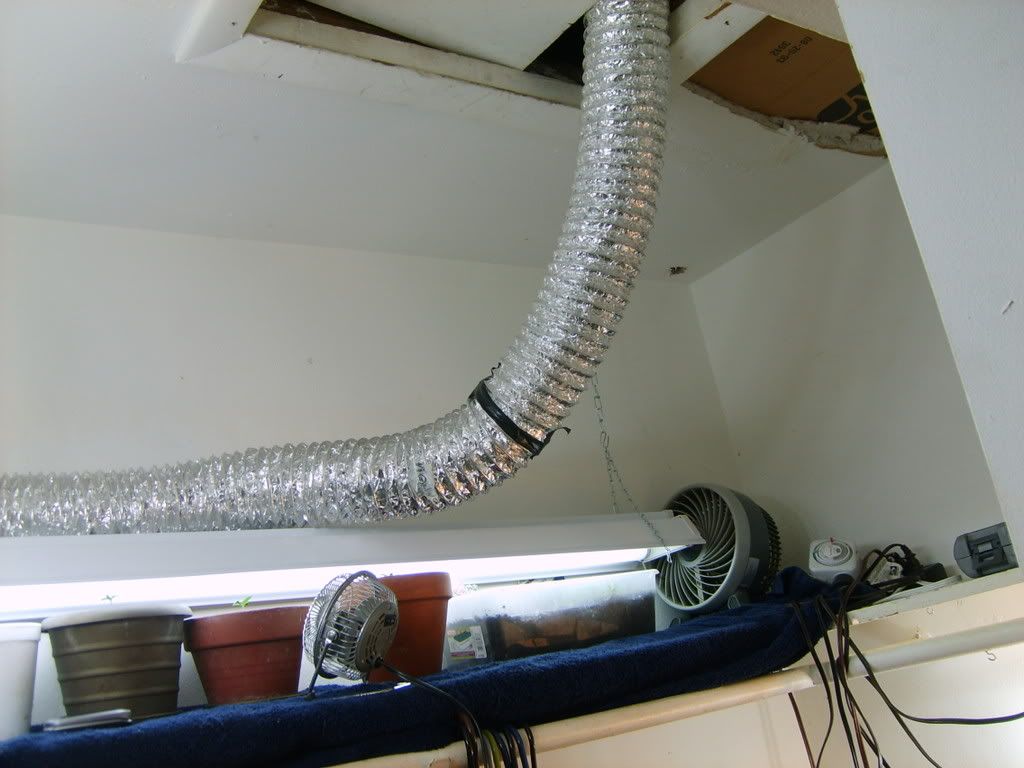 S5000850.jpg