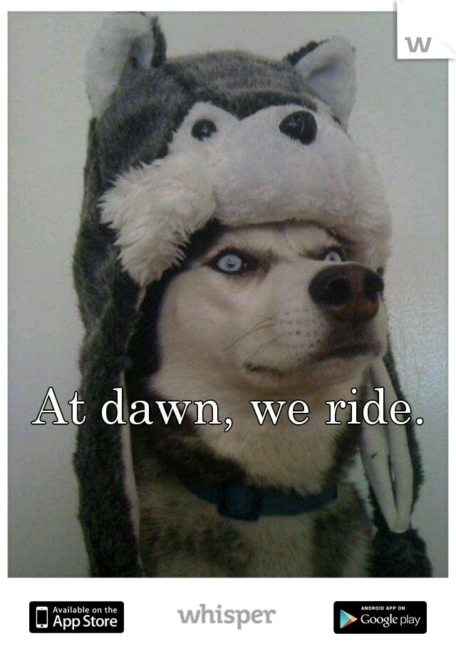 bc3a6ec1d4fce833ebbfd3a9ac8ec8be--husky-dog-siberian-huskies.jpg