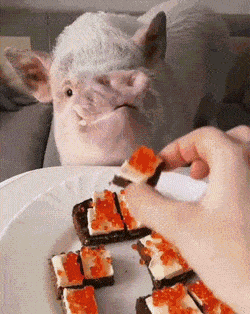 1666112873_20.gif
