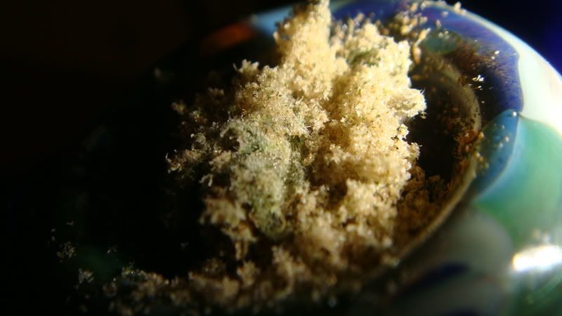 CameraPics060.jpg