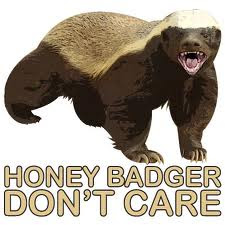honeybadger.jpg