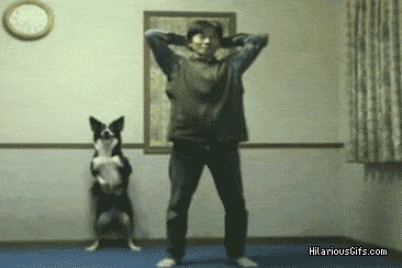 HD91m.gif