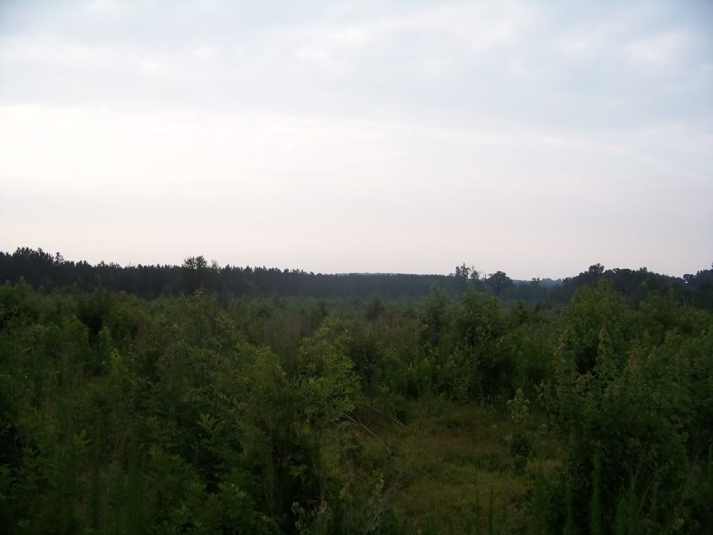 100_2497.jpg