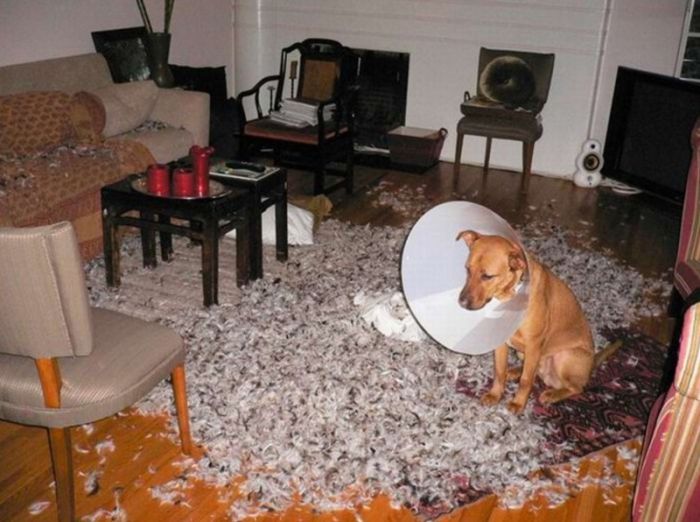 acid_picdump_40.jpg