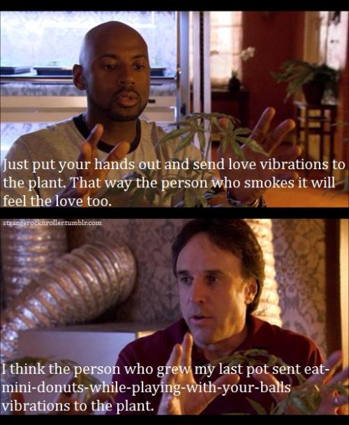 tumblr_ldudpyQllS1qbwxefo1_500.jpg