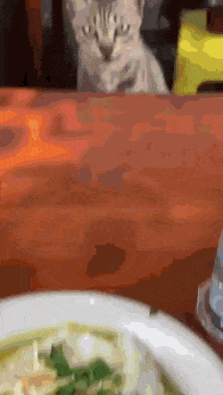 1668696999_25.gif