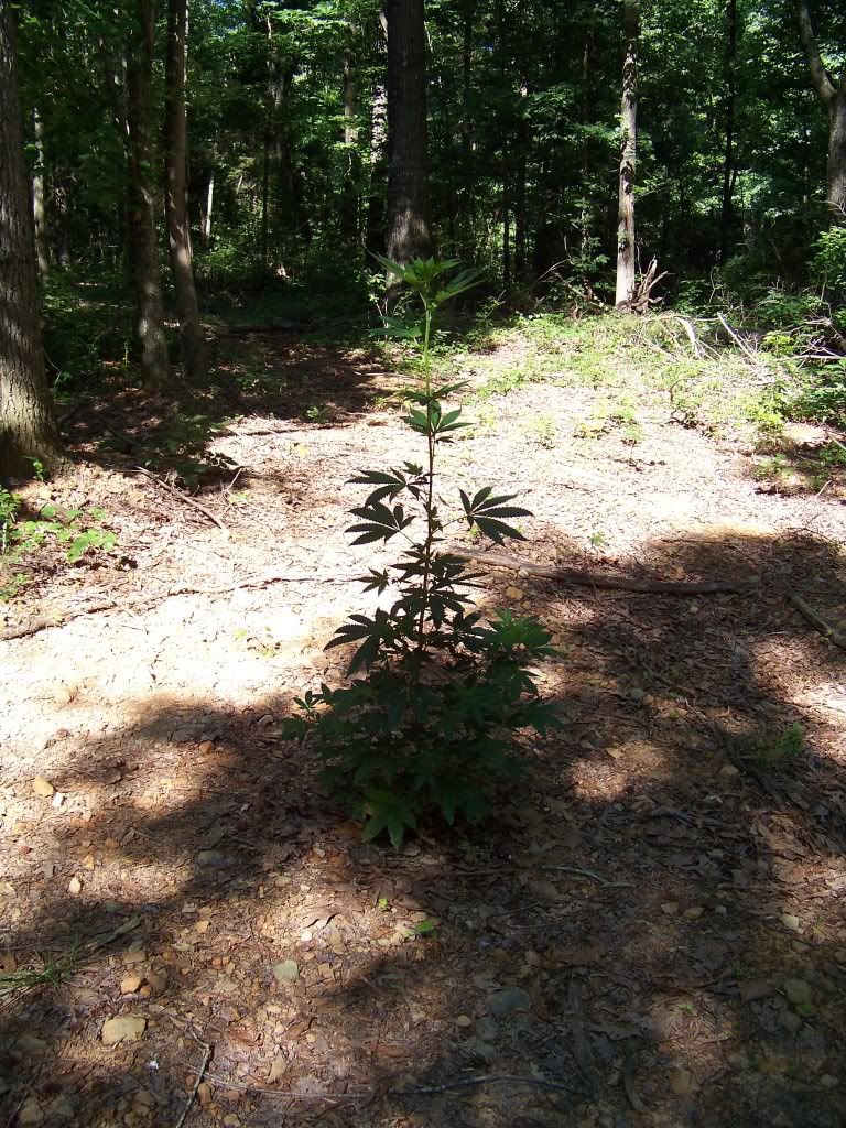 100_2603.jpg