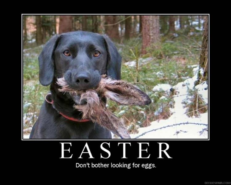 easter.jpg