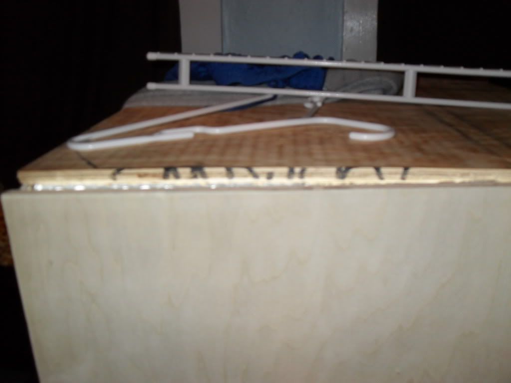 SDC10587.jpg