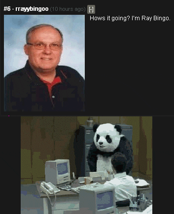giphy.gif