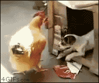 animals-being-dicks-gifs-humping-puppy.gif