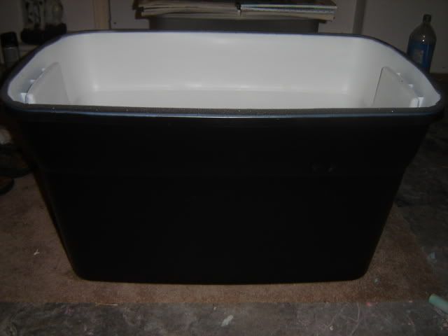DSC08498.jpg
